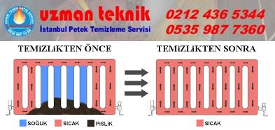 istanbul petek temizleme servisi